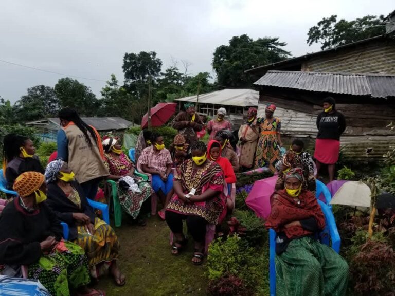 whatsapp image 2026 05 15 at 12.57.06 pm